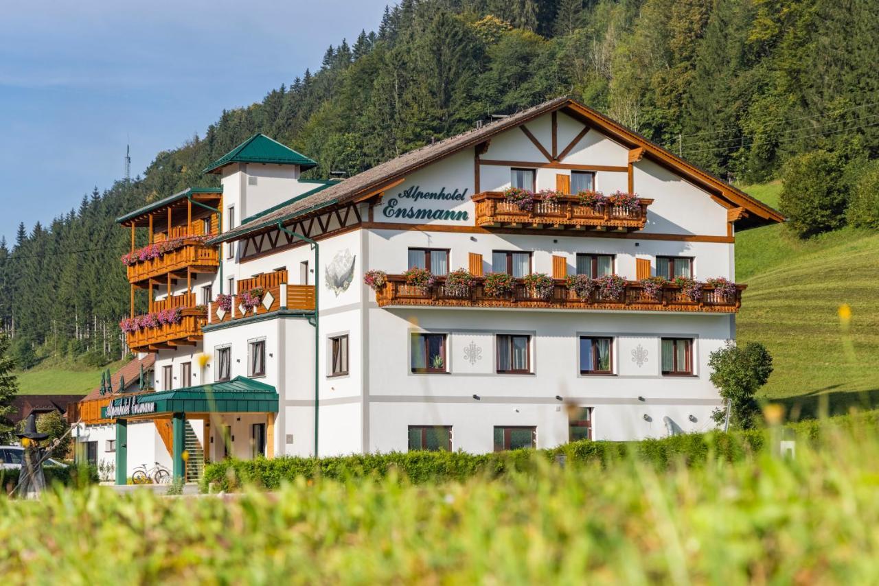 Lassing  恩斯曼高山旅馆酒店 外观 照片