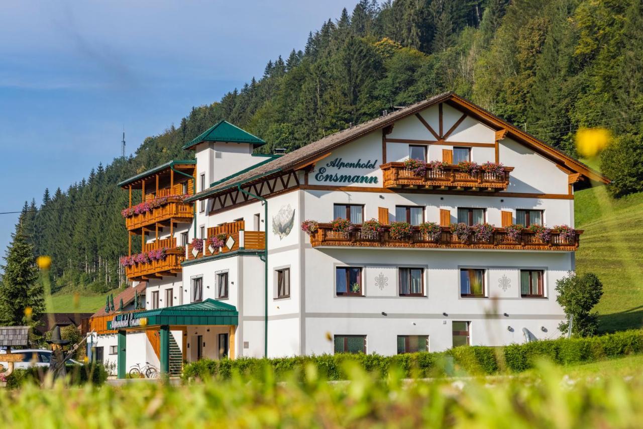 Lassing  恩斯曼高山旅馆酒店 外观 照片